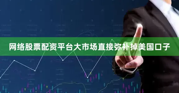 网络股票配资平台大市场直接弥补掉美国口子